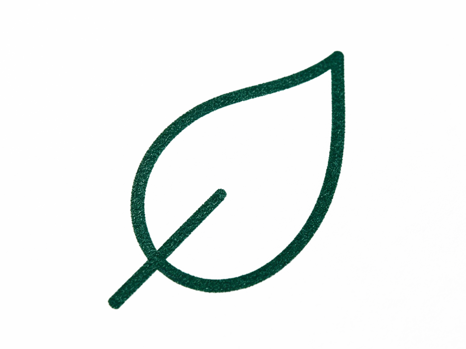 s11